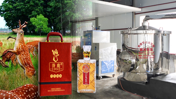用大型釀酒設(shè)備釀鹿茸酒，走出黑龍江生態(tài)旅游發(fā)展特色之路！