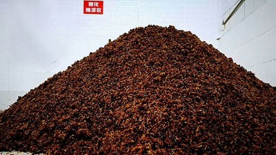 用做酒設(shè)備釀純糧酒的人說做真酒就是在行善，你認同嗎？