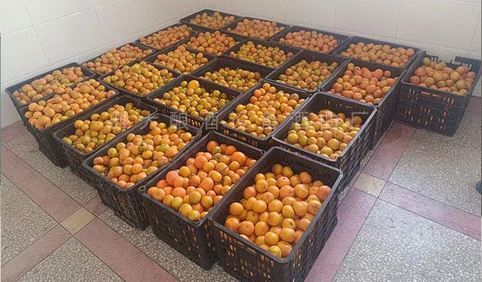 除當?shù)厝撕鹊母叨染仆猓€多元化經(jīng)營水果酒