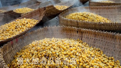 看過來，用玉米釀酒設(shè)備制作整料玉米酒的標(biāo)準(zhǔn)教程在這里！