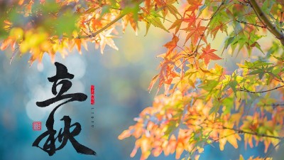 立秋 | 盛夏暑氣遠(yuǎn)，酒中秋色濃
