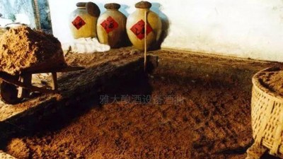 用高粱釀酒設(shè)備做濃香型白酒，酒好全憑窖池老！