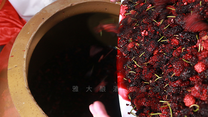 泡制酒技術