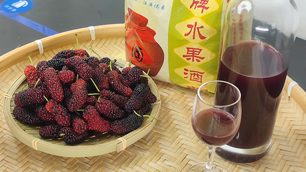 雅大釀酒設(shè)備廠邀您來酒廠學(xué)桑葚酒技術(shù)，品桑葚美酒！