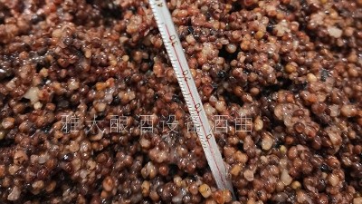 用燒酒設備在家開個酒坊，嚴把質(zhì)量關才是核心！