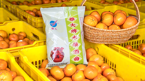 桔子滯銷怎么辦，試試用果酒釀酒設(shè)備將它們釀成酒吧！