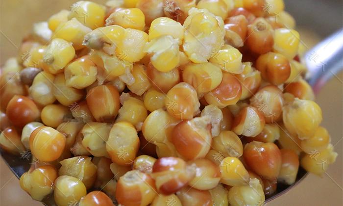玉米蒸至開花率95%以上，外干內(nèi)軟