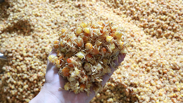 驚！夏季用白酒蒸餾設備做固態(tài)酒時加入輔料作用這么大！