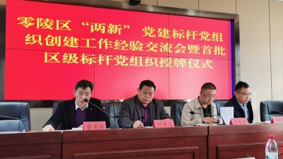 雅大榮獲“零陵區(qū)兩新黨建標(biāo)桿黨組織”稱號