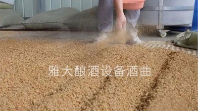 小麥酒怎么做？用燒酒設(shè)備釀造古老的小麥配糟固態(tài)酒！