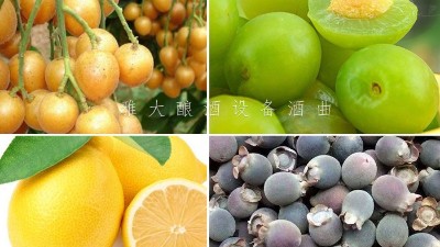 藏在果園里的果酒釀酒設備酒坊，生意卻依然火爆！
