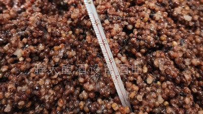 用小型釀酒設(shè)備釀的養(yǎng)生酒，是發(fā)酵酒、蒸餾酒還是配制酒？