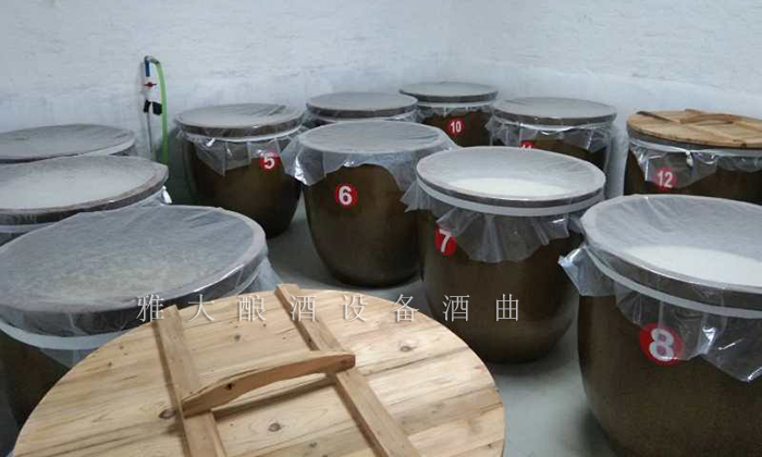 12.26干凈整潔的發(fā)酵車間、科學(xué)的管理