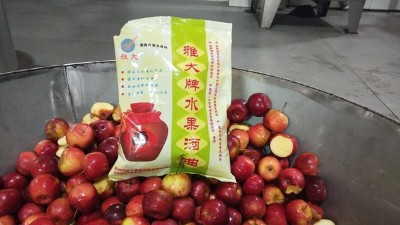 龍豐果酒怎么釀？雅大小型酒廠釀酒設(shè)備現(xiàn)場(chǎng)教您釀！