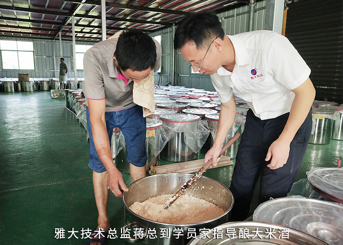 3.17雅大技術總監(jiān)蔣總到學員酒廠指導釀大米酒