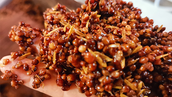 用釀酒蒸餾設(shè)備做固態(tài)高粱時，糖化不起來怎么辦？